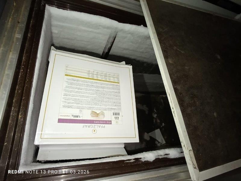 Illustrative photo no. 11