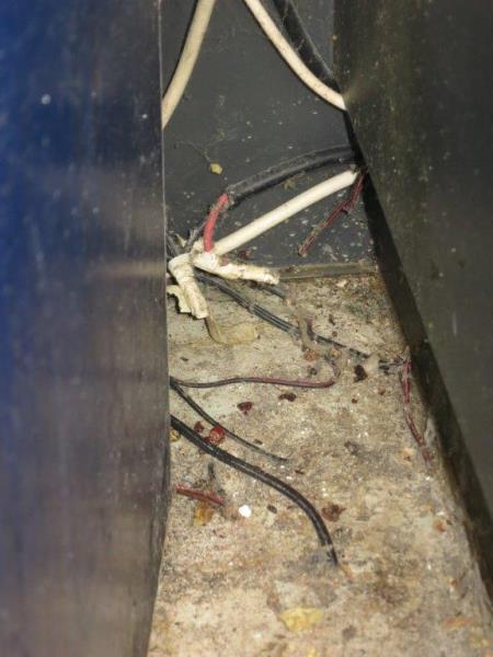 Ilustrační fotografie č. 15