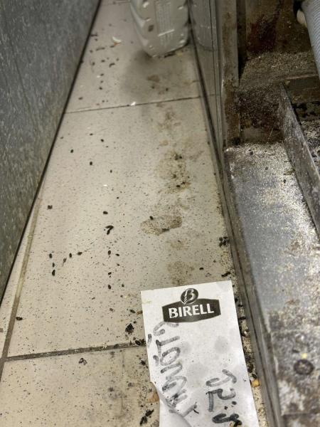 Ilustrační fotografie č. 10