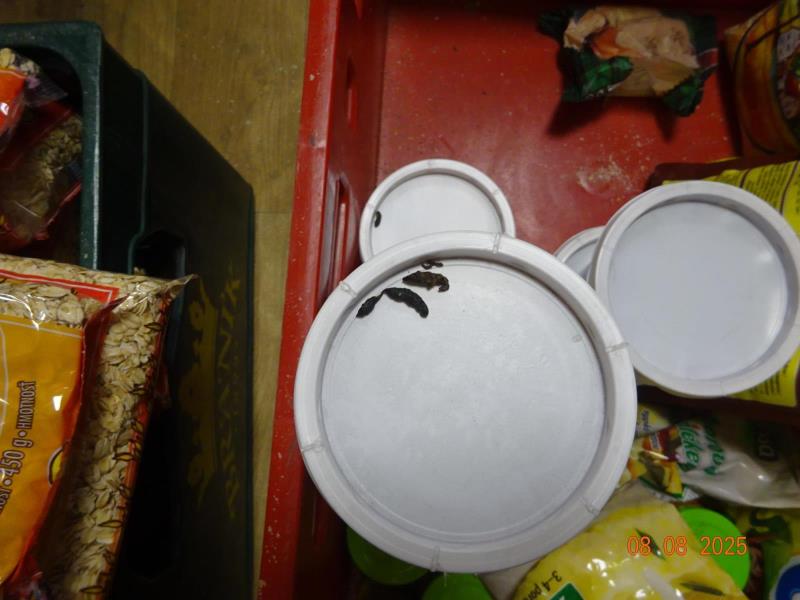 Ilustrační fotografie č. 20