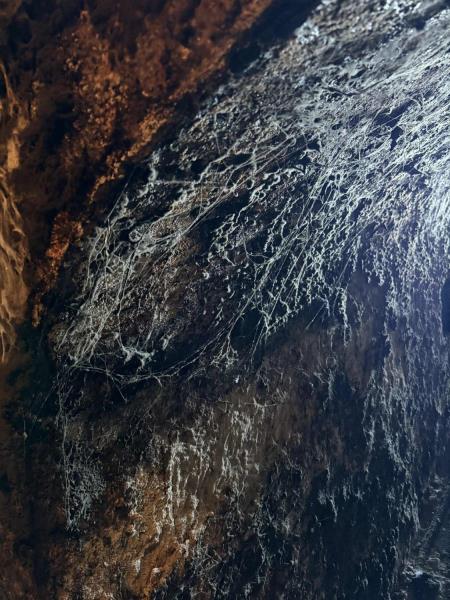 Ilustrační fotografie č. 21