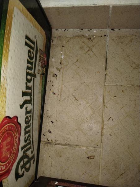 Illustrative photo no. 12