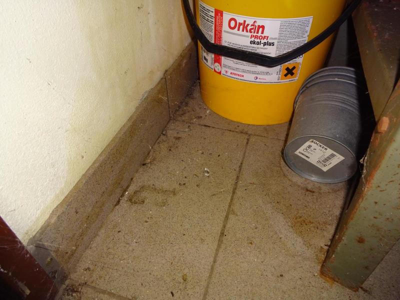 Ilustrační fotografie č. 4