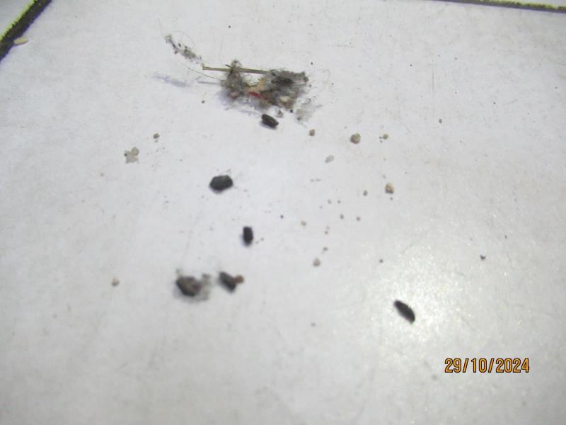 Illustrative photo no. 9