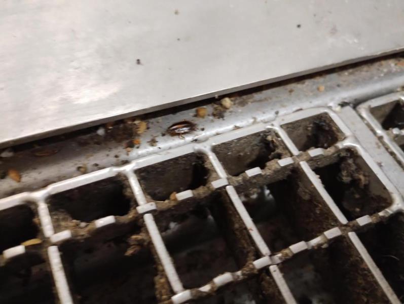 Ilustrační fotografie č. 7