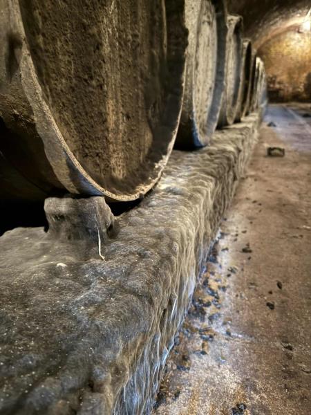 Ilustrační fotografie č. 2