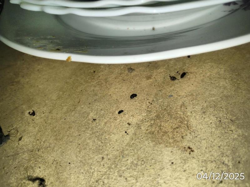 Ilustrační fotografie č. 9