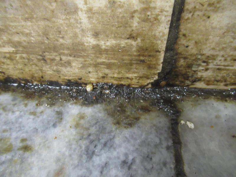 Ilustrační fotografie č. 18