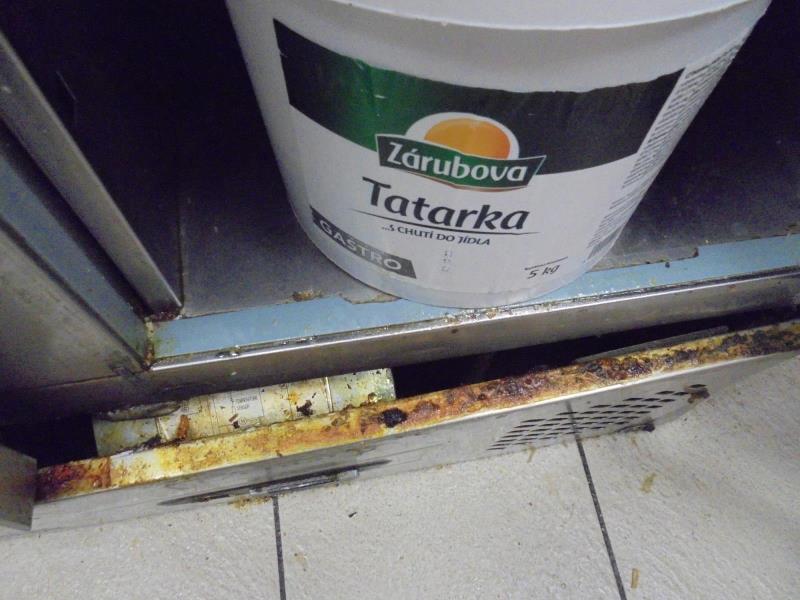 Ilustrační fotografie č. 7