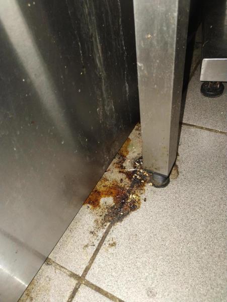 Ilustrační fotografie č. 4