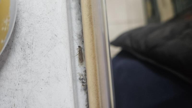 Ilustrační fotografie č. 22