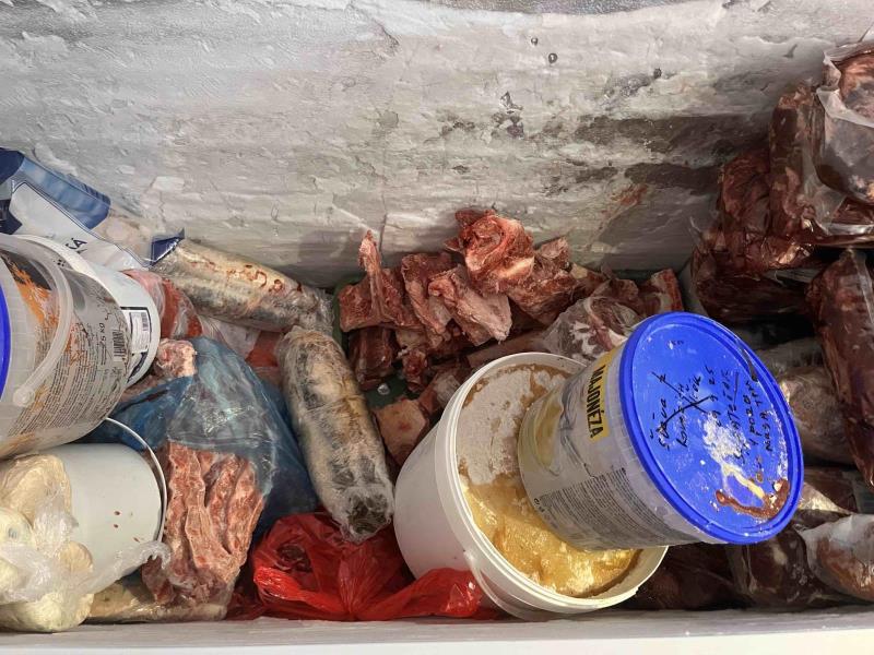 Ilustrační fotografie č. 3