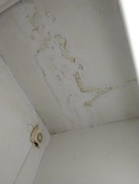 Illustrative photo no. 9