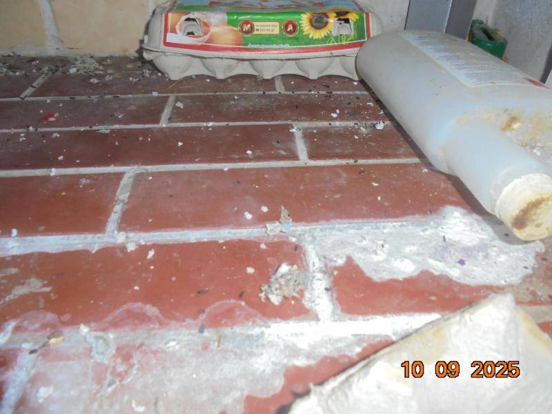 Ilustrační fotografie č. 6