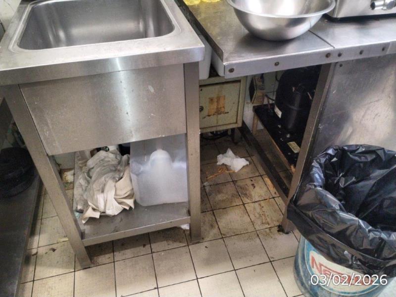 Ilustrační fotografie č. 11