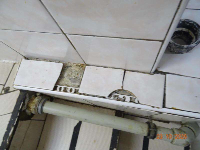 Ilustrační fotografie č. 14