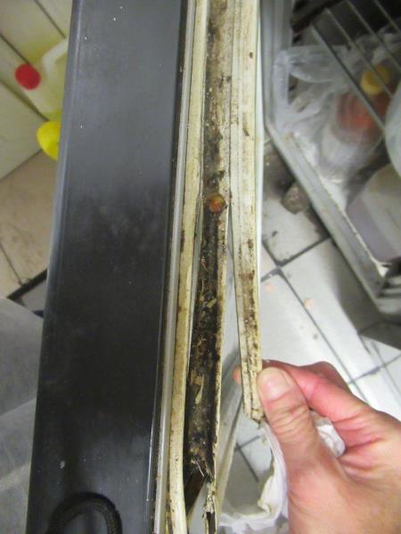 Ilustrační fotografie č. 3