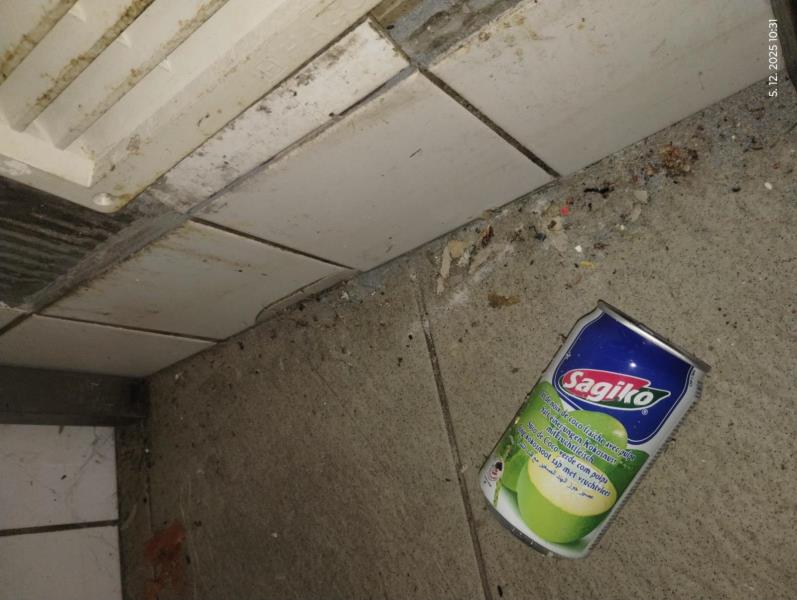 Ilustrační fotografie č. 4