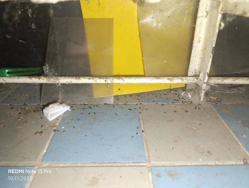 Illustrative photo no. 8