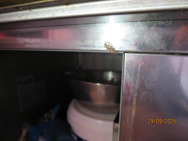 Illustrative photo no. 12