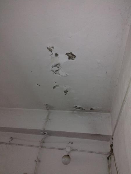 Illustrative photo no. 12