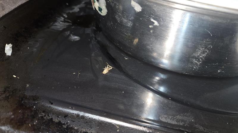 Ilustrační fotografie č. 12