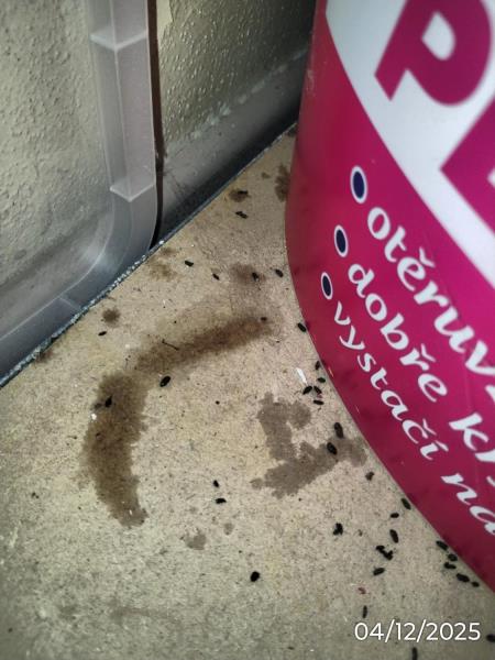 Ilustrační fotografie č. 13