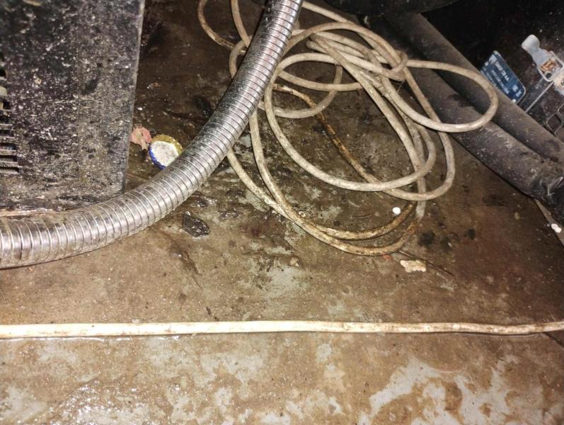 Ilustrační fotografie č. 17