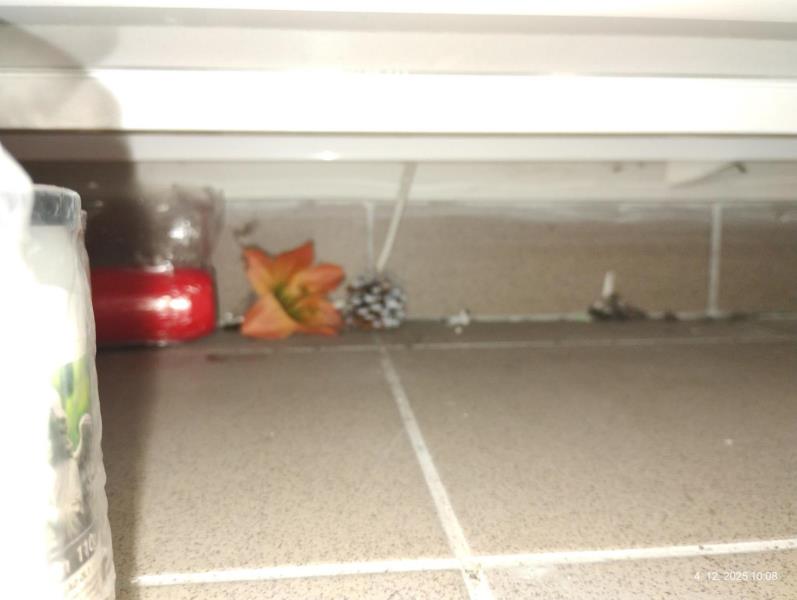 Ilustrační fotografie č. 2