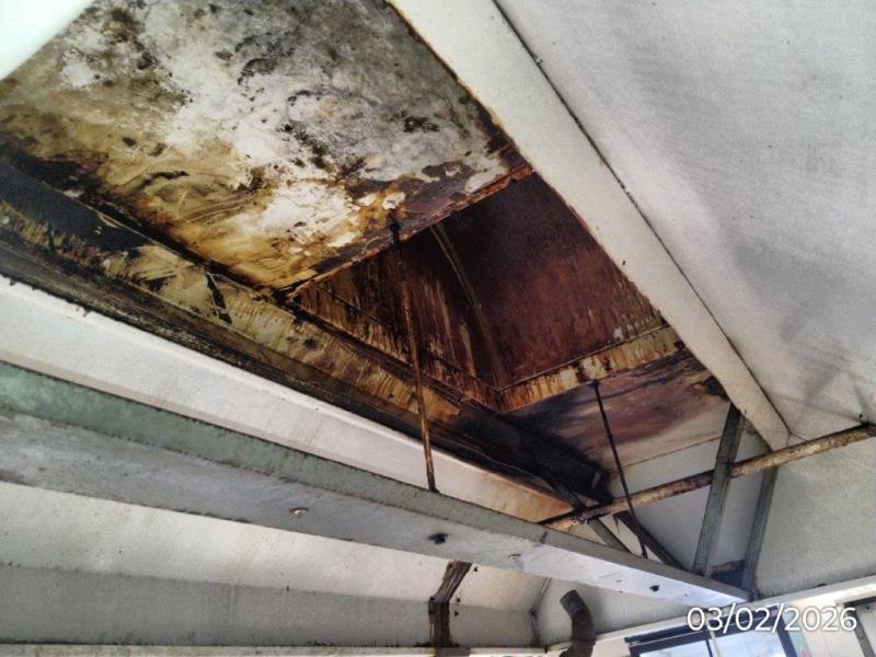 Ilustrační fotografie č. 15