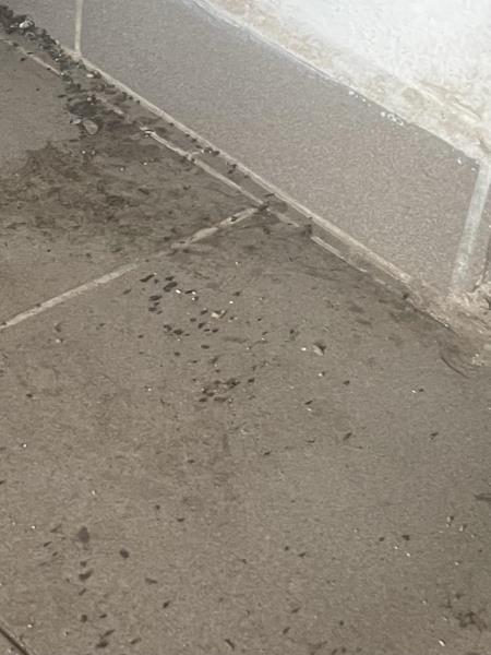 Ilustrační fotografie č. 12