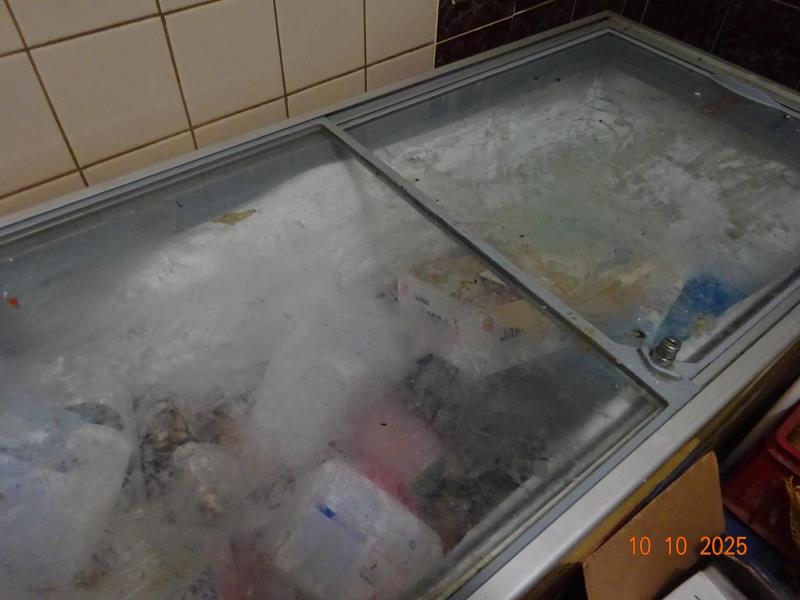 Ilustrační fotografie č. 30