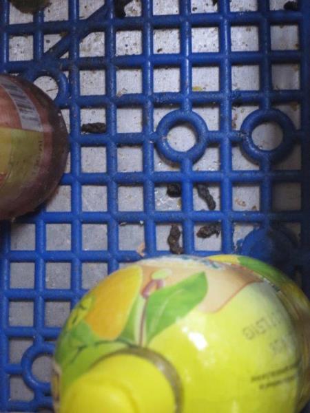 Ilustrační fotografie č. 10