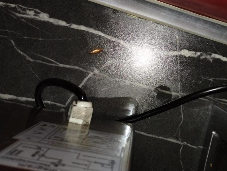 Illustrative photo no. 7