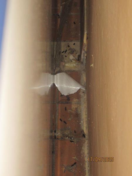 Illustrative photo no. 10