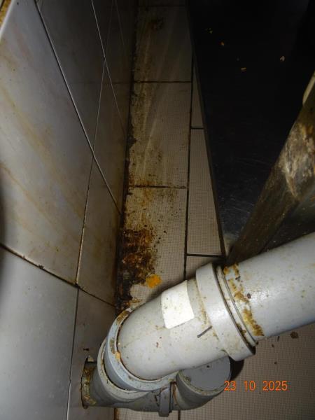 Ilustrační fotografie č. 12