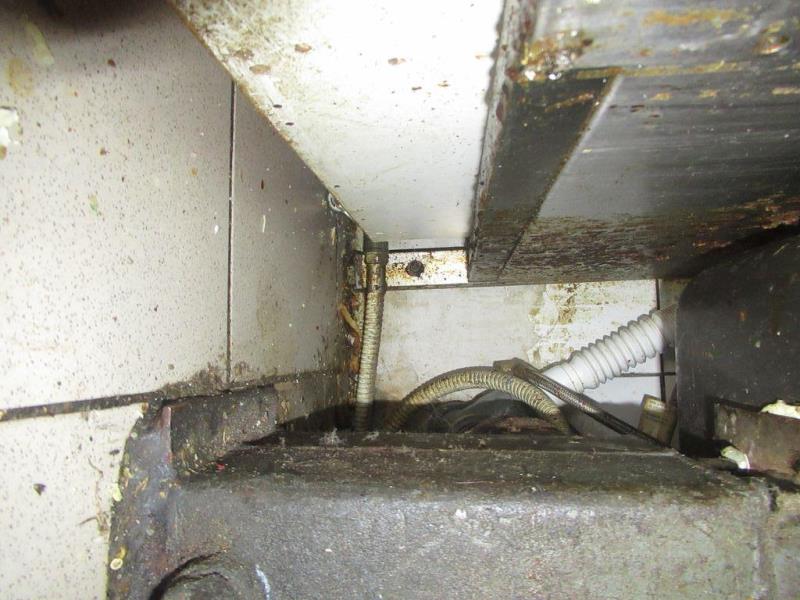 Ilustrační fotografie č. 7