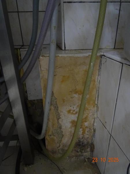 Ilustrační fotografie č. 2