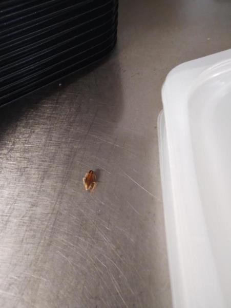 Ilustrační fotografie č. 9