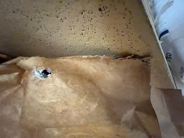 Ilustrační fotografie č. 10