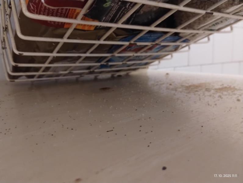 Ilustrační fotografie č. 9