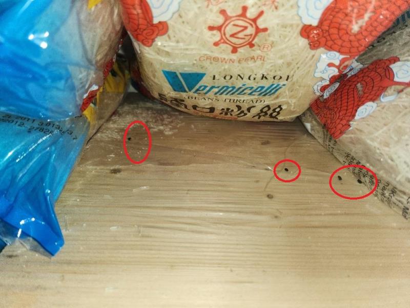 Ilustrační fotografie č. 9