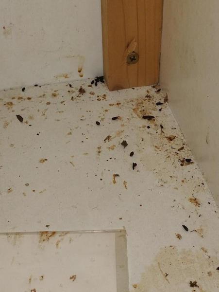 Illustrative photo no. 2