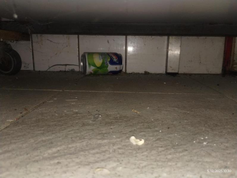 Ilustrační fotografie č. 16