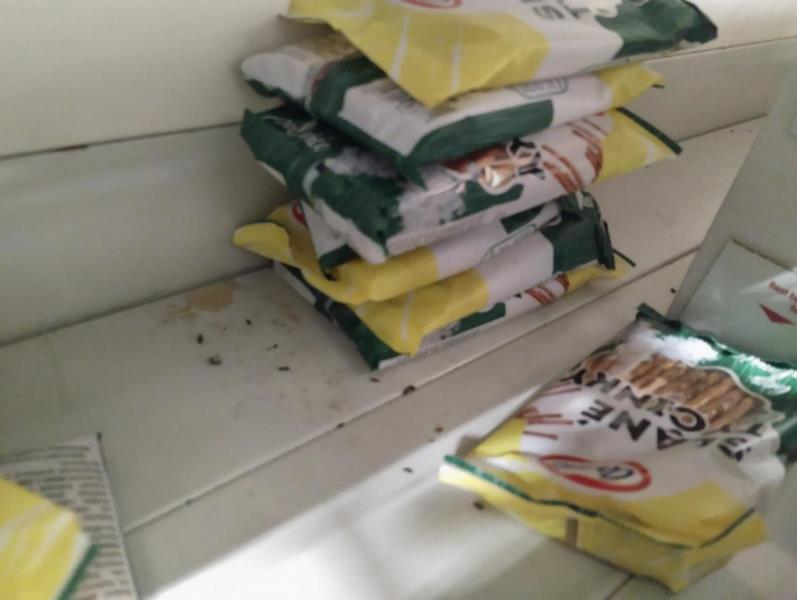 Ilustrační fotografie č. 14