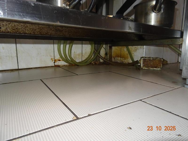 Ilustrační fotografie č. 10