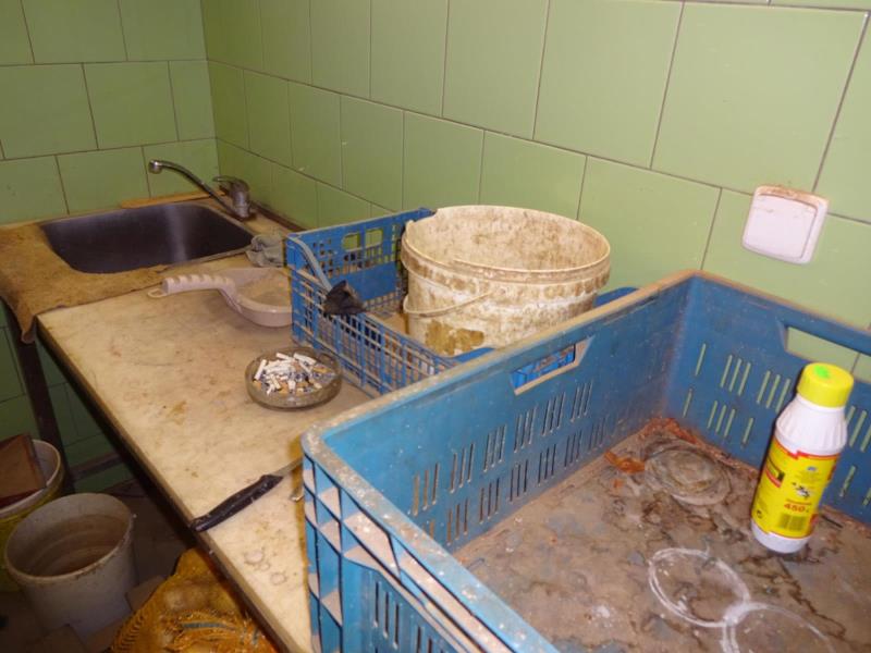 Ilustrační fotografie č. 2