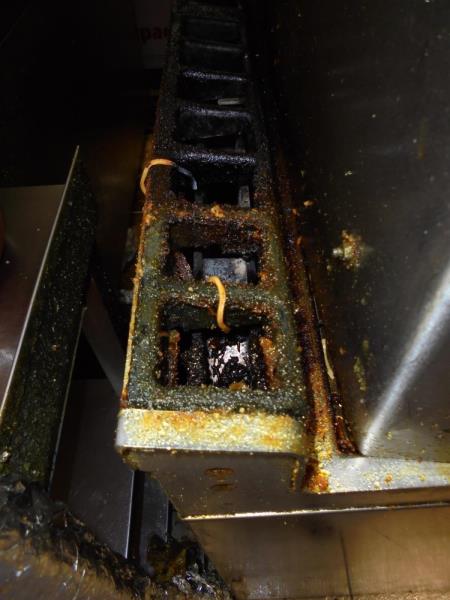 Ilustrační fotografie č. 5