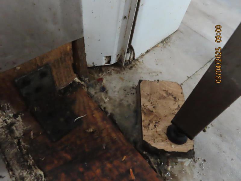 Ilustrační fotografie č. 6