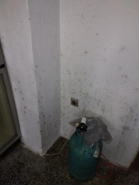 Illustrative photo no. 18